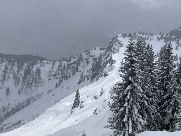Eingewehte Westhänge Beidlkop