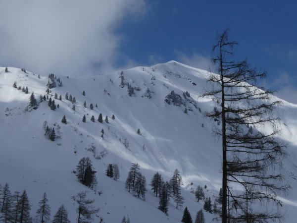 Klingspitze-Ostflanke heute vielfach befahren