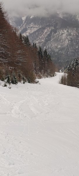 Piste