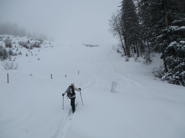 Aufstieg zum Anzenberg