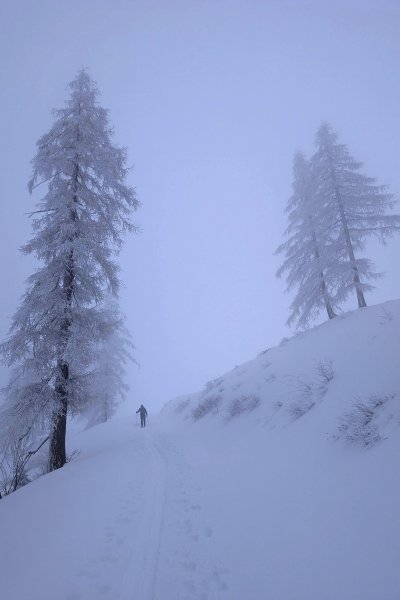 Schlechte Sicht, schöne Stimmung an der Gernneralm