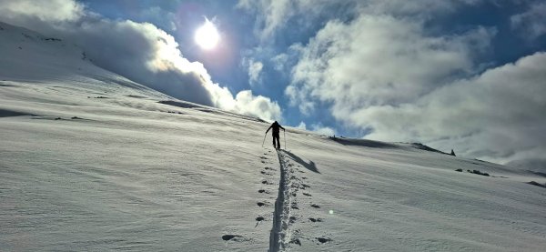 Heaven for Everyone (Queen)