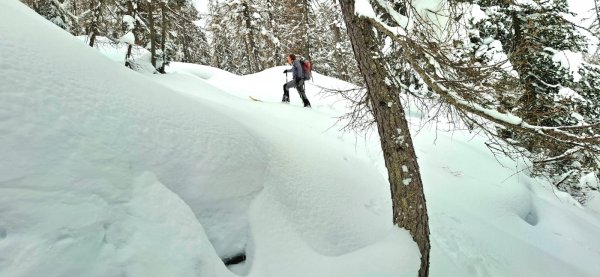 Wegfindung im Lärchenwald nicht immer ganz einfach