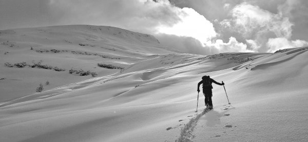Endlich im freien Gelände