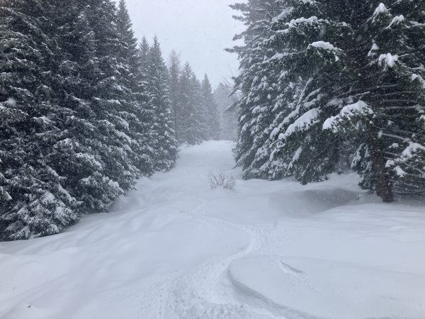 Viel Platz am Reichenhaller Hang am 31.03