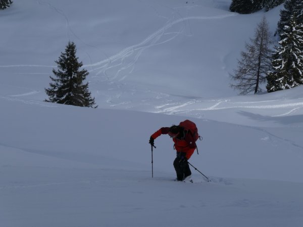 Anfangs Richtung Bärensteigkogel