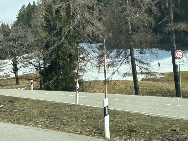 ein Einsamer ist aufs Rossfeld unterwegs. Im Waldstück  sind apere Stellen ...