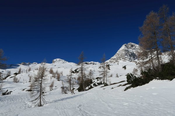 Schönes Skigelände in der Hochgrub