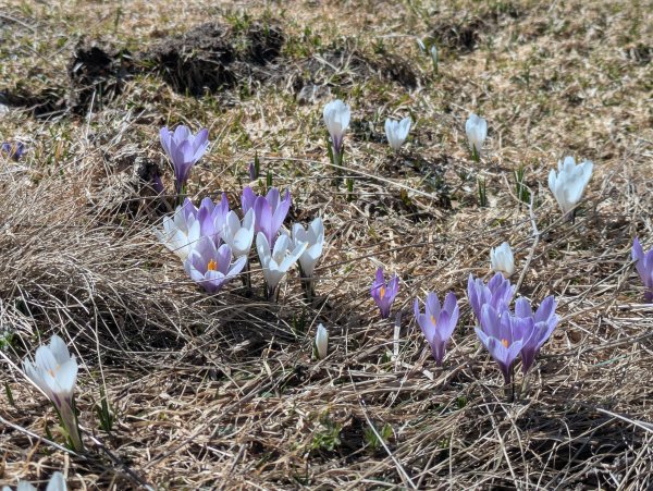 unbeschreiblich schön im Nassfeld