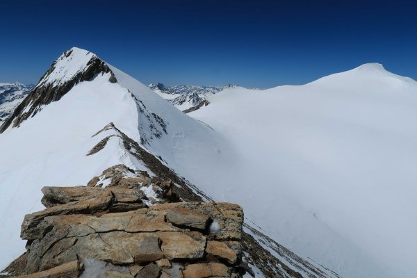 Rückblick von der Schwarzen Wand auf Rainerhorn und Venediger