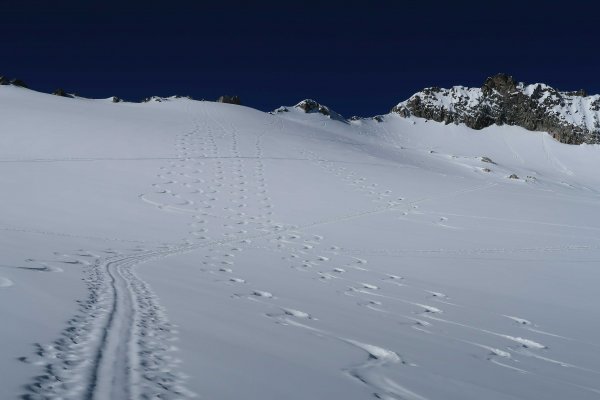 Weites, ideales Skigelände