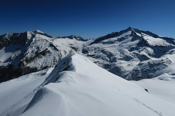 Blick zum Keeskogel und Venediger