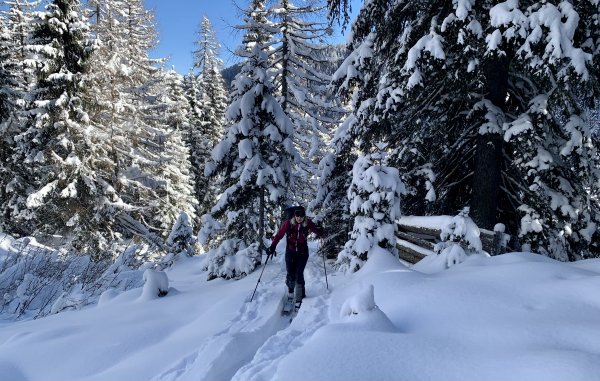 Lichtblick nach dem Wald