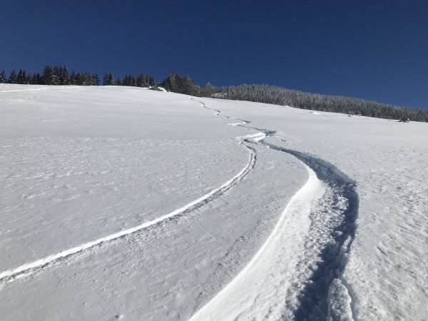 Pulvrige Wiesenhänge