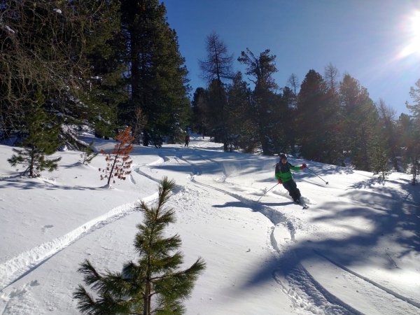 Abfahrt durch lichten Hochwald