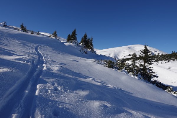 Richtung Seebodenhütte