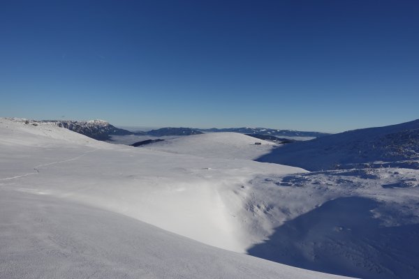 im Hintergrund die Rax