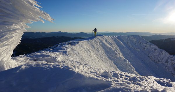 Fragile Schönheit (vorne)