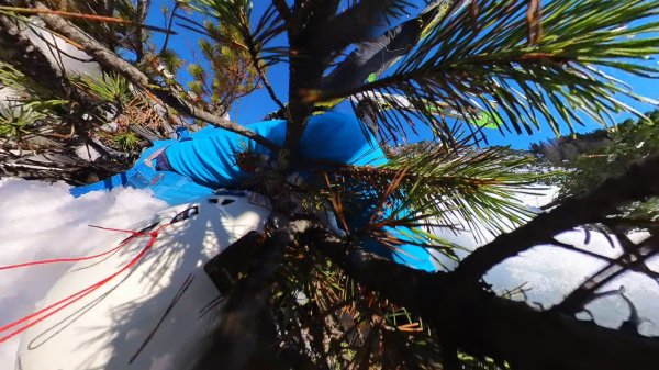 in den Latschen gefangen