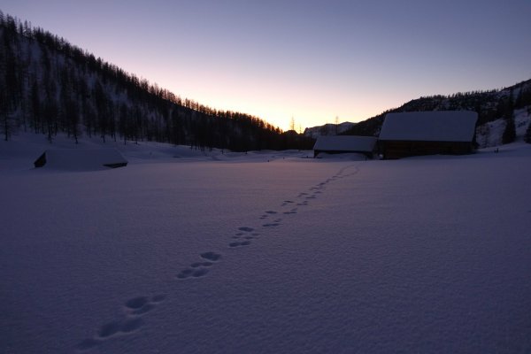 Nautische Dämmerung auf der Niederhüttenalm