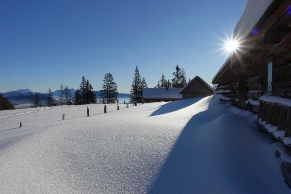 Langpoltenalm