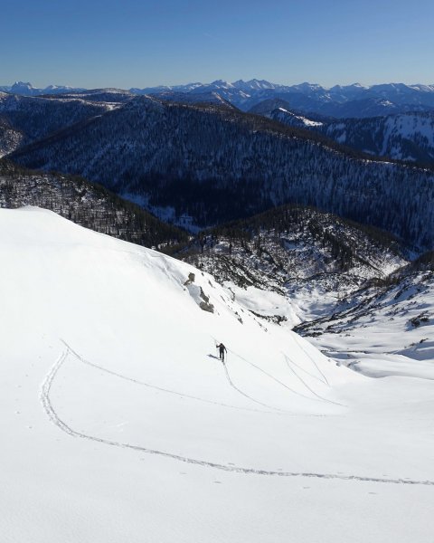 die O-Flanke hoch überm Grimmingbach - dahinter Sumpereck