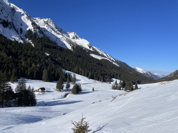 Hüttfeldalm