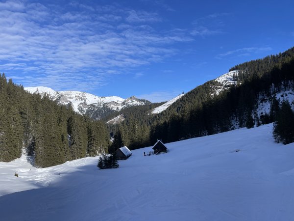 Grössingeralm