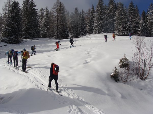Oberhalb der Beisteiner Alm