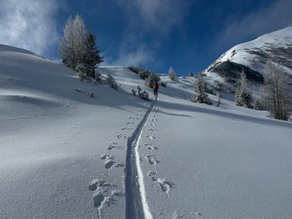 Am Weg zum Gipfelrücken