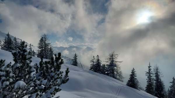 Wintertraum (trotz wenig Schnee)