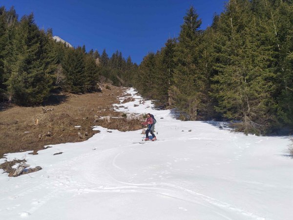 Schneefleckenslalom