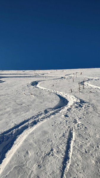 20 cm Pulver ohne Unterlage