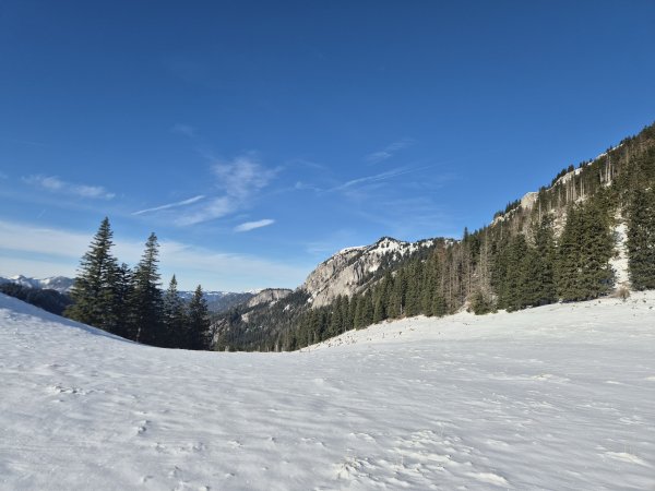 Ochsenalm Blick auf die Tonion