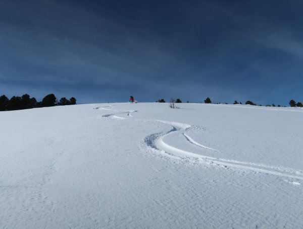 Unverspurter Bereich