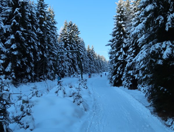 Aufstiegsspur für Tourengeher