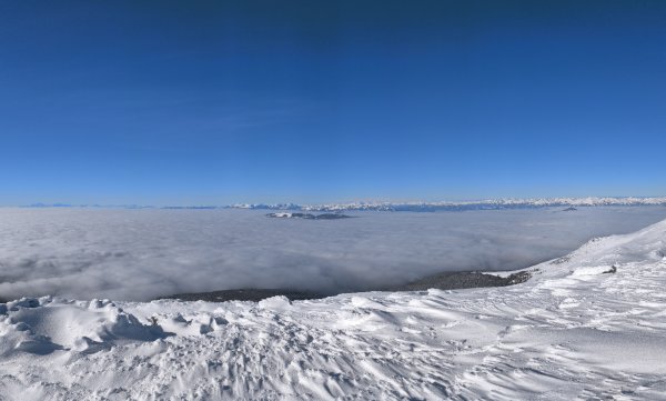 Grebenzen in der Bildmitte