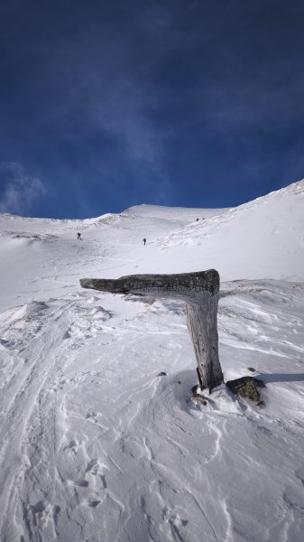 unterer Teil des Gipfelhanges