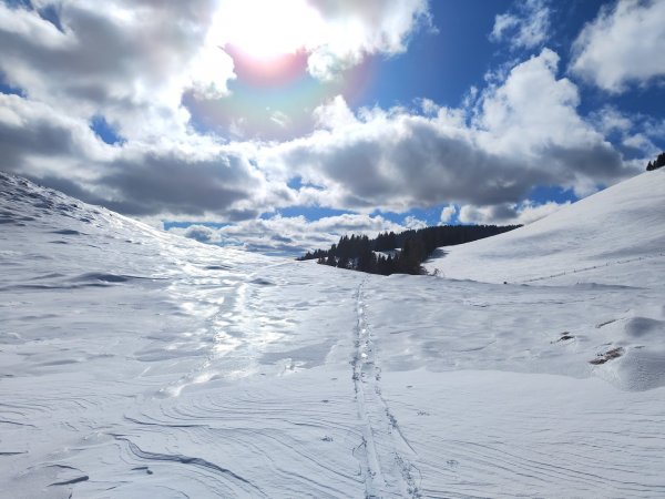 Windharsch nördlich vom Soldatenhaus