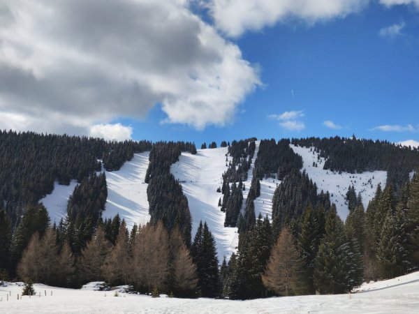 Waldschneisen der alten Pisten und Lifte