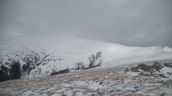 Blick Lambrechthöhe