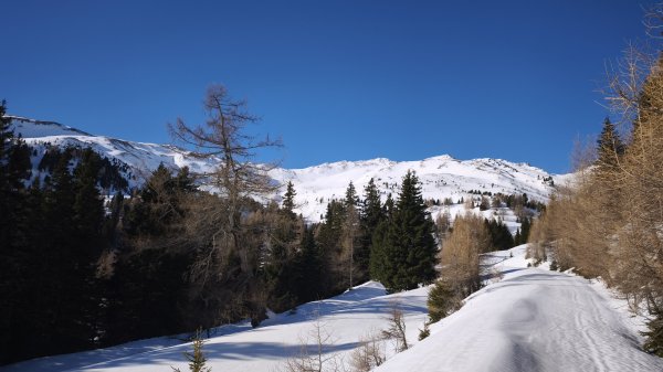 Kurz vor der Scharnitzhüttte