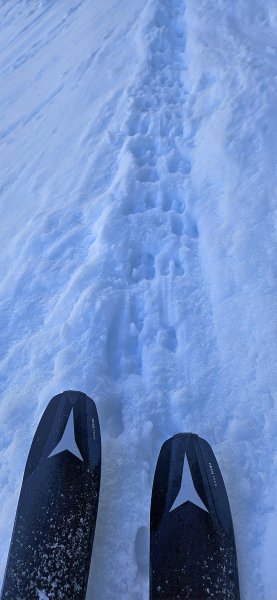 immer diese Fußgänger!